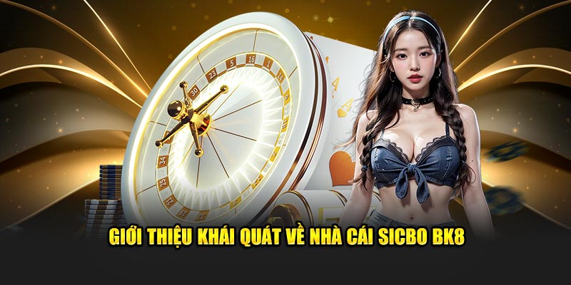 Giới thiệu khái quát về nhà cái sicbo BK8